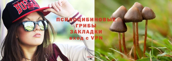СК Абаза