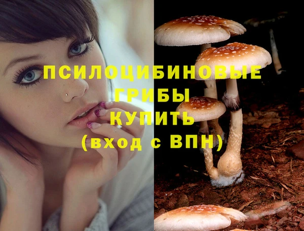 СК Абаза