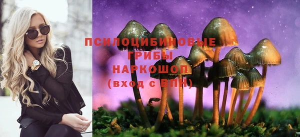 СК Абаза