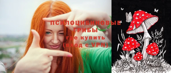 ГАЛЛЮЦИНОГЕННЫЕ ГРИБЫ Абдулино