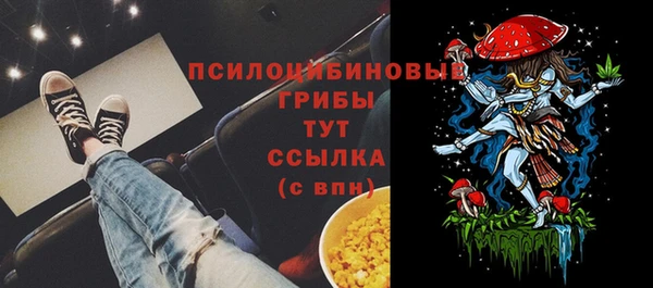 СК Абаза