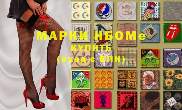 ECSTASY Новозыбков