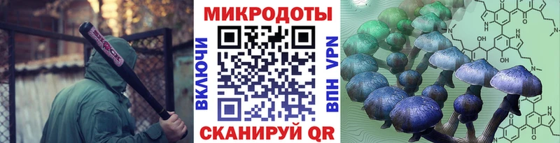 площадка официальный сайт  Саратов  Псилоцибиновые грибы MAGIC MUSHROOMS  где найти  